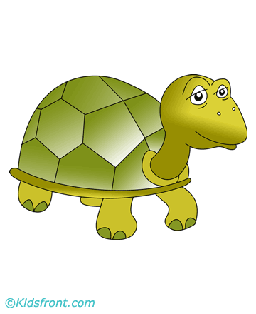 Hard Back Tortoise Coloring Pages